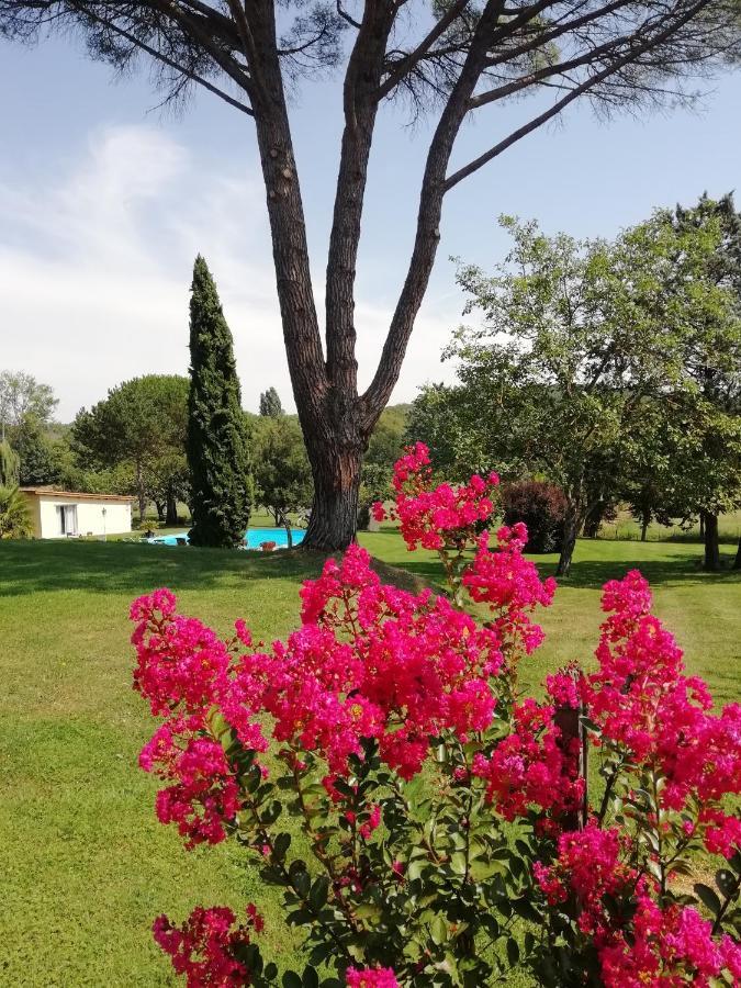 Domaine De Poudos Bed & Breakfast Auterive  Ngoại thất bức ảnh
